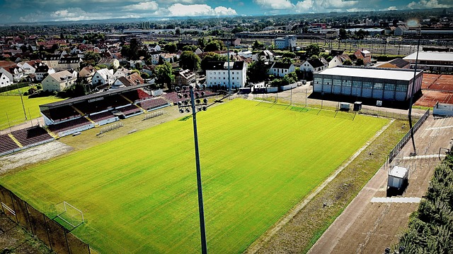 酒驾和毒品 酒驾和毒品